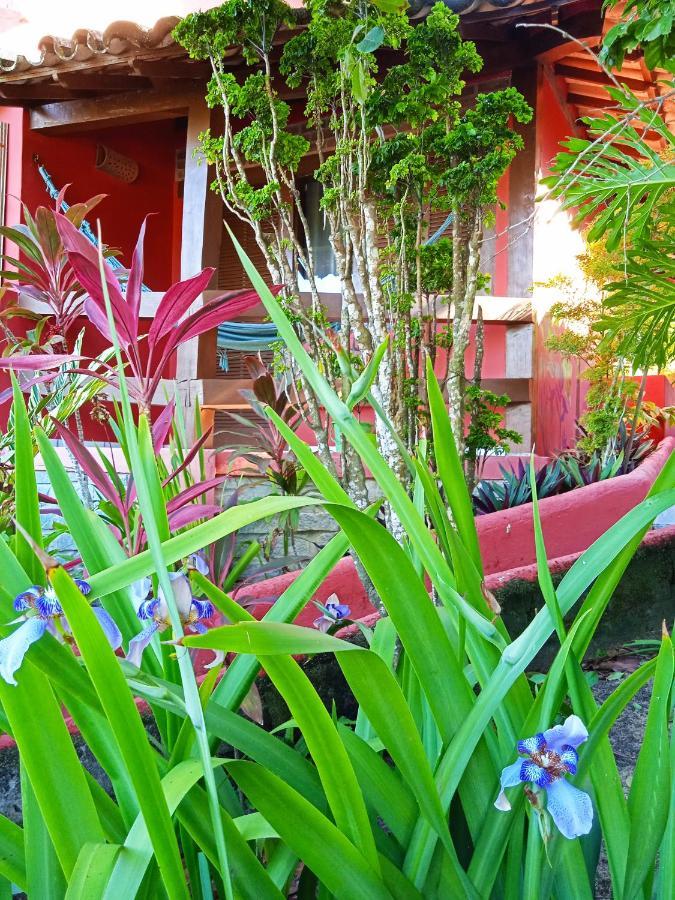 Novos Baianos Hostel E Pousada Porto Seguro Ngoại thất bức ảnh A garden in the city