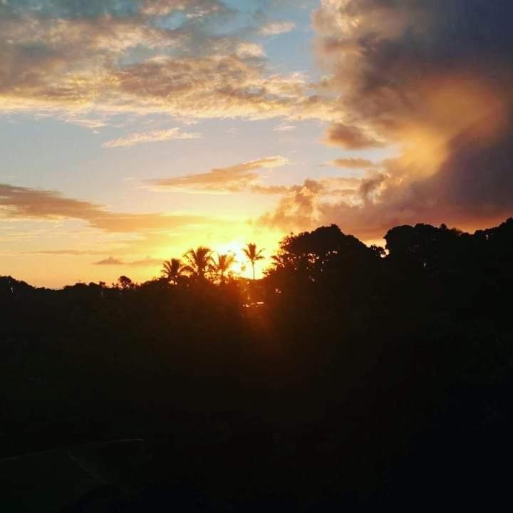 Novos Baianos Hostel E Pousada Porto Seguro Ngoại thất bức ảnh Sunset in the rainforest
